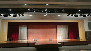 Stage LED film spotlight.jpg