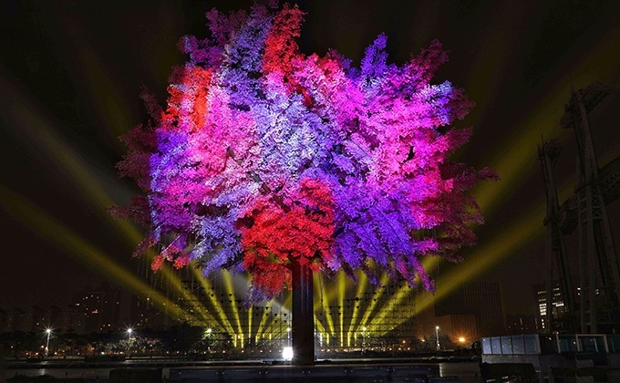 Árbol de luz