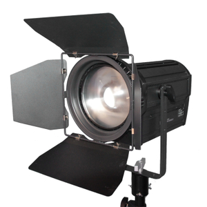 led fresnel spotlight.jpg